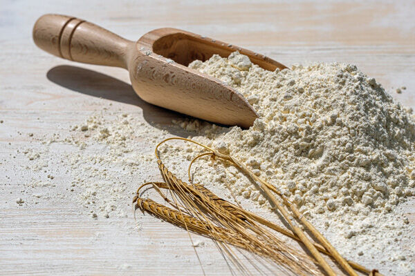 Flour wheat